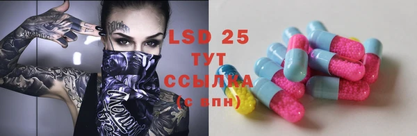 крисы Козловка
