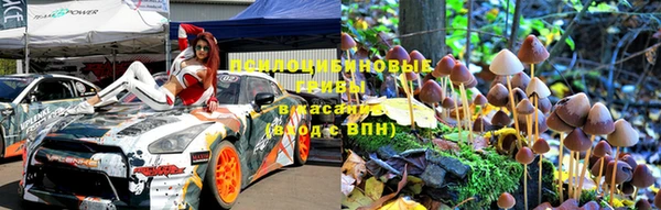 крисы Козловка
