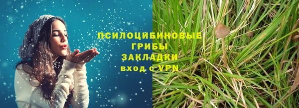 таблы Козельск