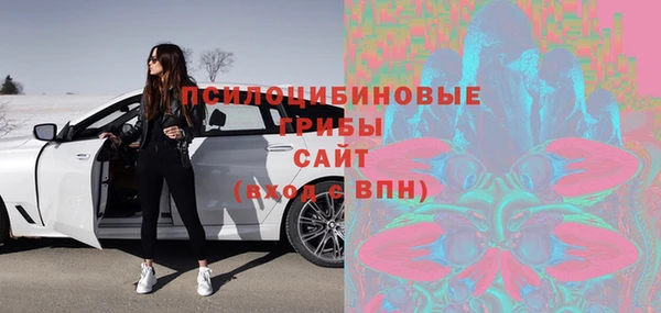 таблы Козельск