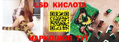 крисы Гатчина