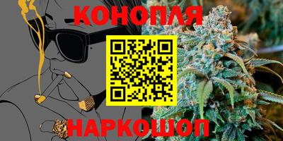 крисы Гатчина