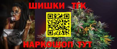 крисы Гатчина