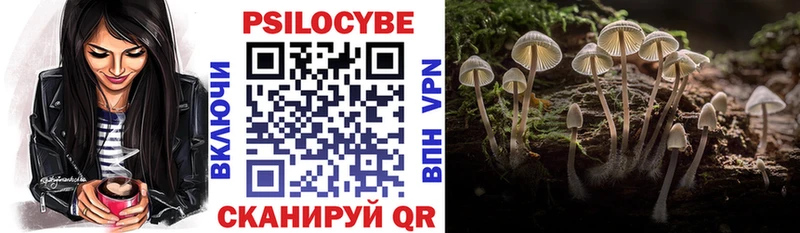 Псилоцибиновые грибы Psilocybe  Керчь 