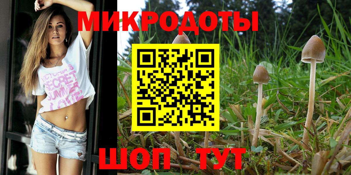 Псилоцибиновые грибы Cubensis Керчь